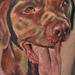 Tattoos - Captain - 54295